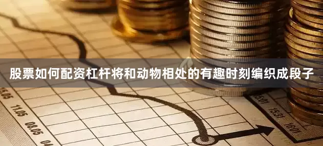 股票如何配资杠杆将和动物相处的有趣时刻编织成段子