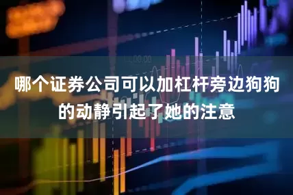 哪个证券公司可以加杠杆旁边狗狗的动静引起了她的注意