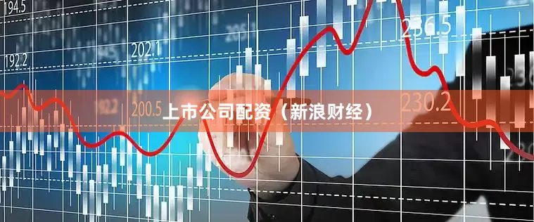 上市公司配资（新浪财经）