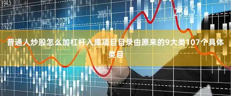 普通人炒股怎么加杠杆入库项目目录由原来的9大类107个具体类目